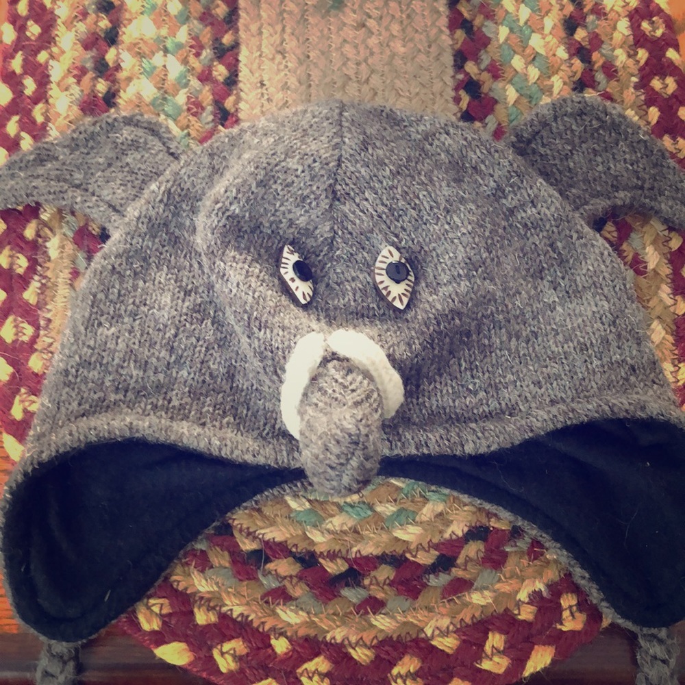 Child’s Elephant hat